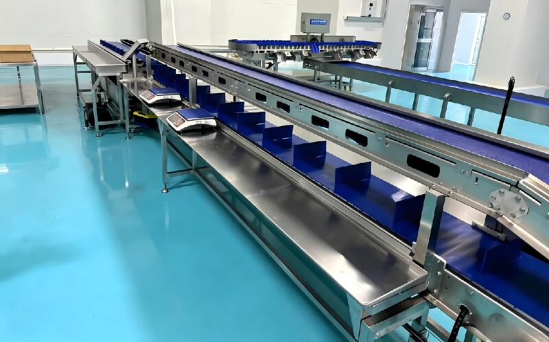 How a combination weigher works in food processing automation